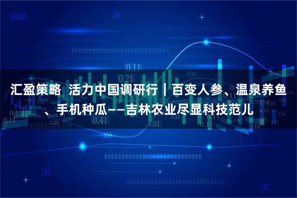 汇盈策略  活力中国调研行｜百变人参、温泉养鱼、手机种瓜——吉林农业尽显科技范儿