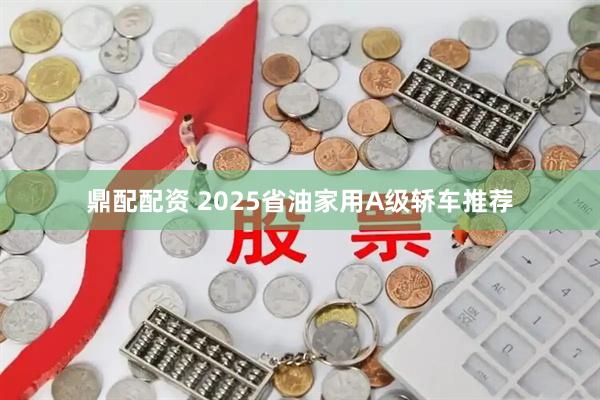 鼎配配资 2025省油家用A级轿车推荐
